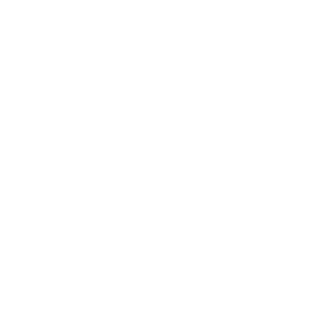 Stroke Of Luck Ltd. Logo
